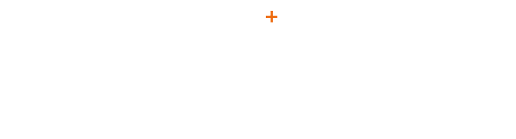 Epic Pass Banner SS